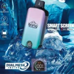 Bang Vape Dual Mesh 20000 Puffs - Az Ideális Vezeték nélküli E-cigaretta - Image 3