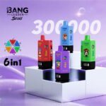 BANG LEADER STOLL 300K Puffs 6 in 1 Taste Disposable Vapes Wholesale Bulk Buy Rechargeable Ultra