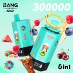 BANG LEADER STOLL 300K Puffs 6 in 1 Taste Disposable Vapes Wholesale Bulk Buy Rechargeable Ultra - Image 3