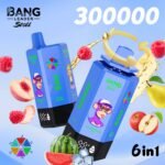 BANG LEADER STOLL 300K Puffs 6 in 1 Taste Disposable Vapes Wholesale Bulk Buy Rechargeable Ultra - Image 12