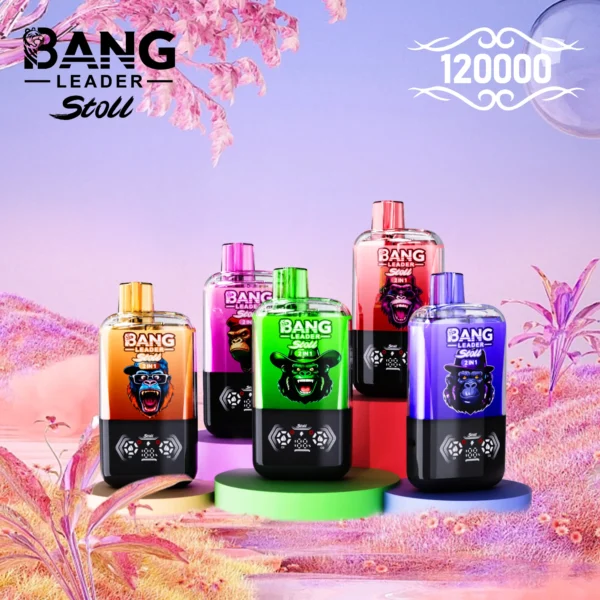 Bang Leader Stoll 120K Puffs – 2 íz egy készülékben - VapePurchase