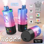 Bang Leader 110K 110000 Puffs – 6 íz egy készülékben - VapePurchase