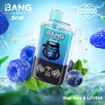 Bang Leader Stoll 120K Puffs – 2 íz egy készülékben - VapePurchase