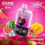 Bang Leader Stoll 120K Puffs – 2 íz egy készülékben - VapePurchase